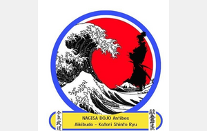 Aikibudo Nagisa Dojo